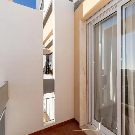 Akisol Virtuous * Faro